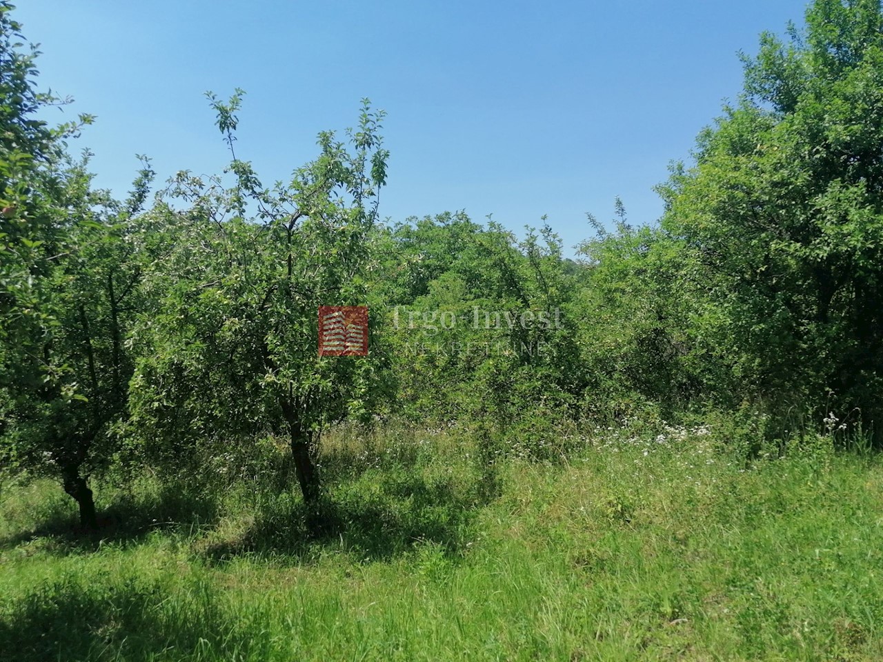 Zemljište Na prodaju - BRODSKO-POSAVSKA  SLAVONSKI BROD 