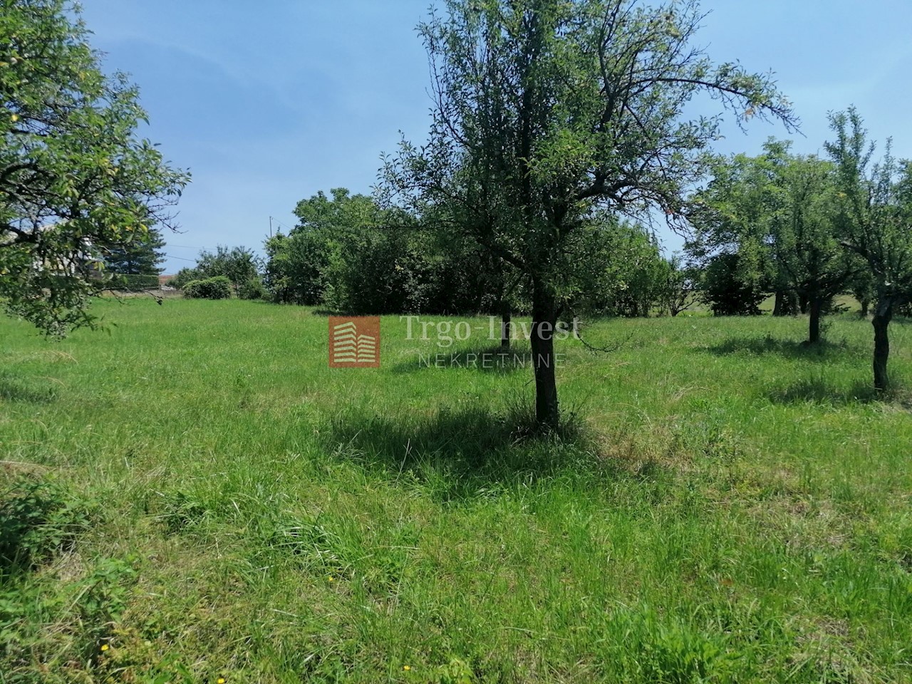 Land For sale - BRODSKO-POSAVSKA  SLAVONSKI BROD 