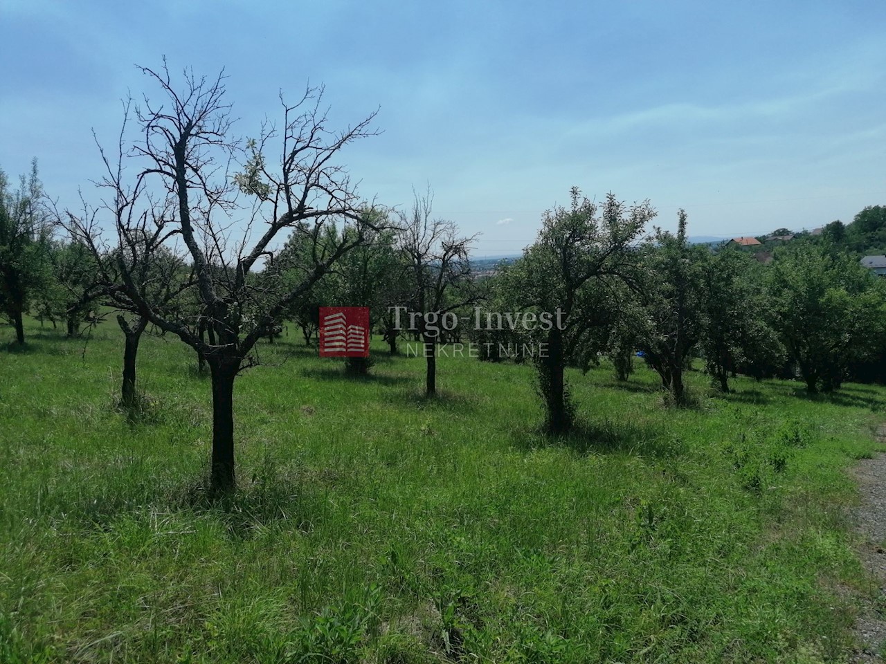 Terrain À vendre - BRODSKO-POSAVSKA  SLAVONSKI BROD 