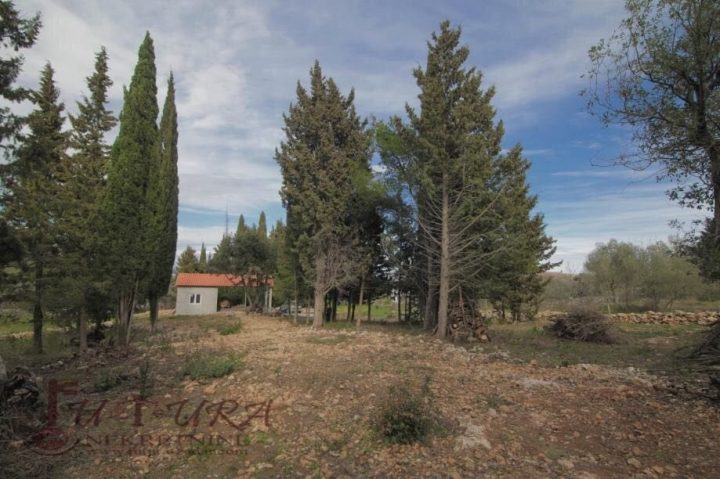 Land For sale ŽDRELAC