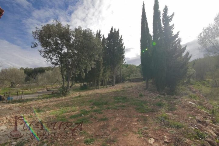 Land For sale - Zadarska Pašman - foto 3/3