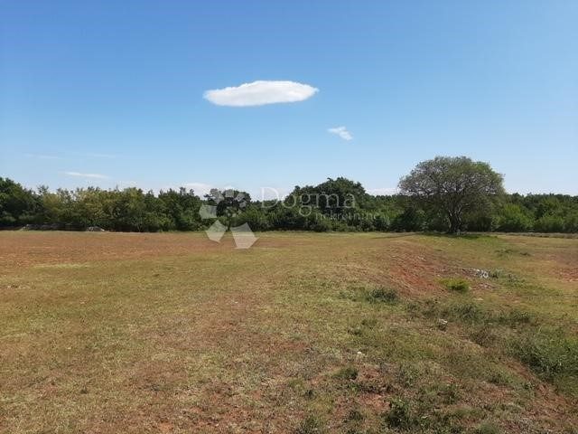 Land for sale 39887 m² – Filipana