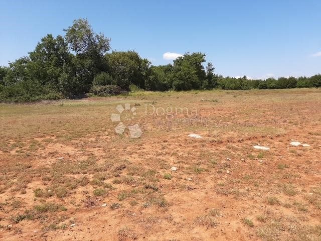 Parcela Naprodaj - Istarska Marčana - foto 4/8