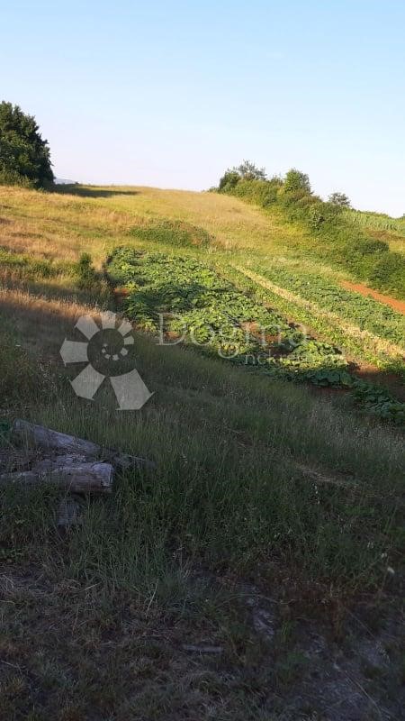 Terrain À vendre - Istarska Barban - foto 3/5