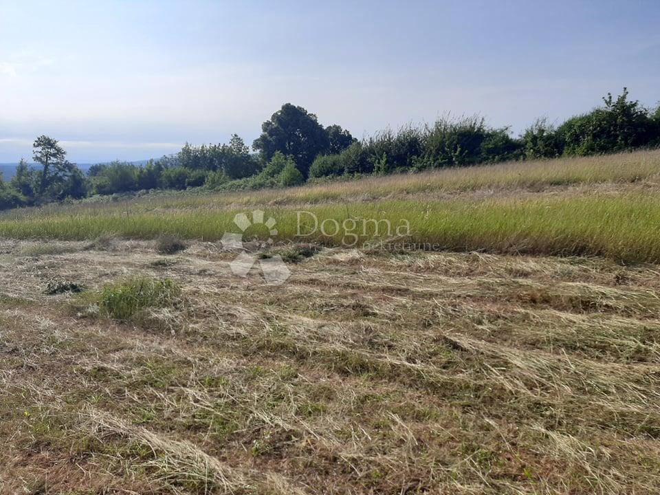 Terrain À vendre - Istarska Barban - foto 4/5