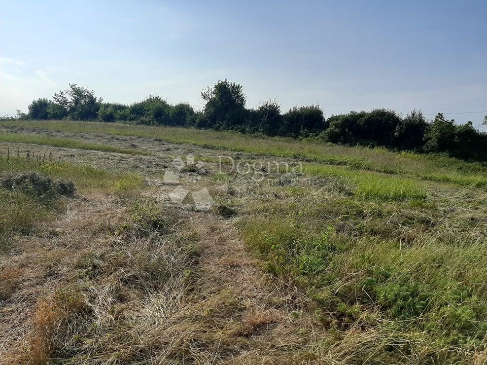 Terreno In vendita - ISTARSKA  Barban