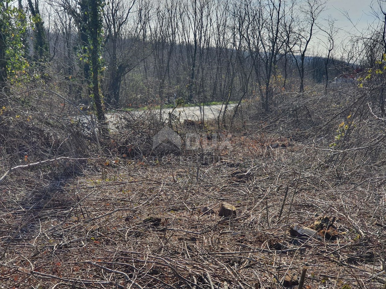 Terreno In vendita