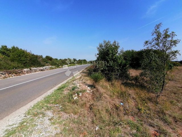 Pozemek na prodej 4606 m² – Šišan