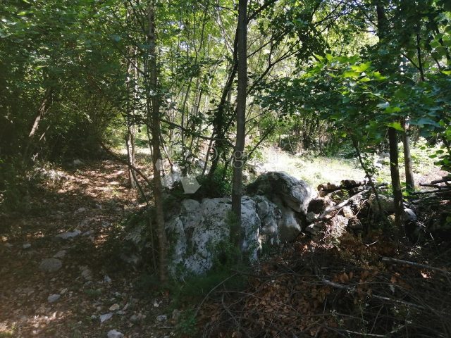 Zemljište na prodaju 1478 m² – Veprinac