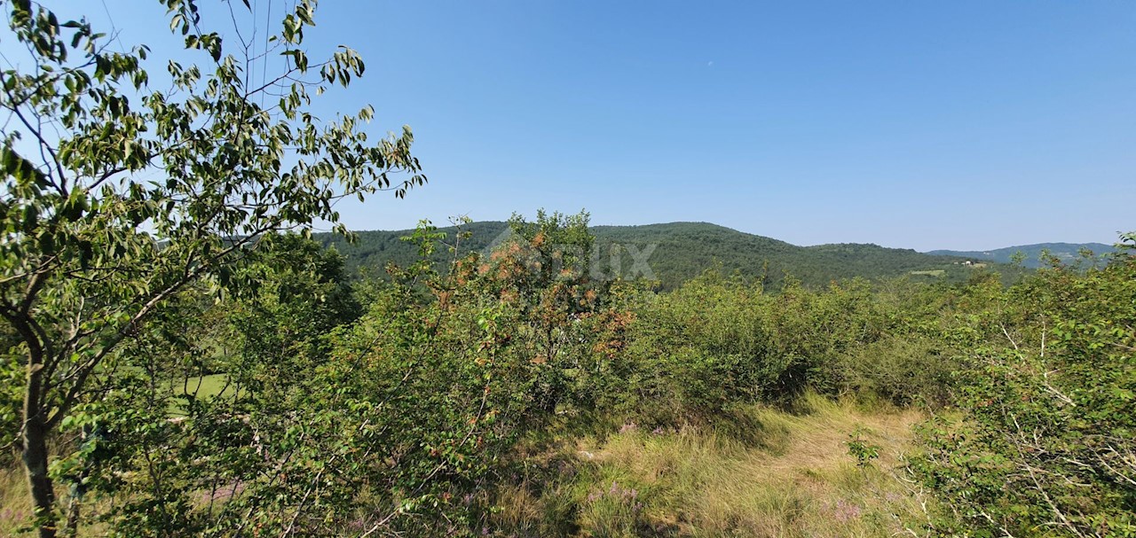 Land For sale - ISTARSKA  KRŠAN 