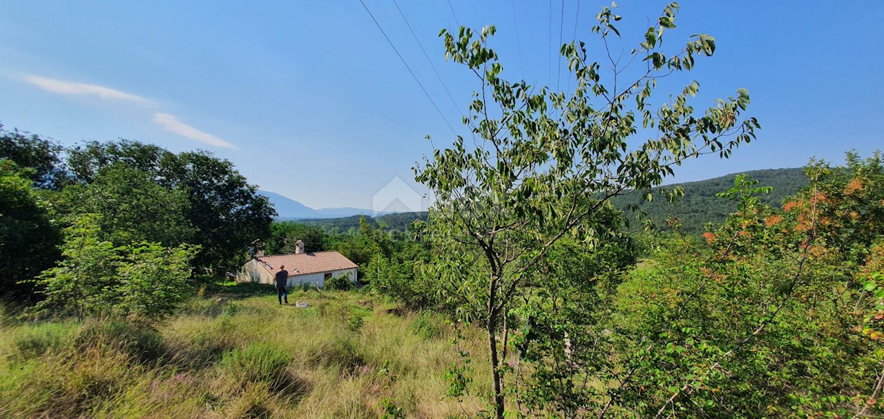 Land For sale - ISTARSKA  KRŠAN 