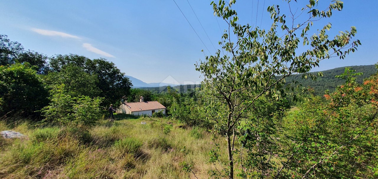 Land For sale - ISTARSKA  KRŠAN 