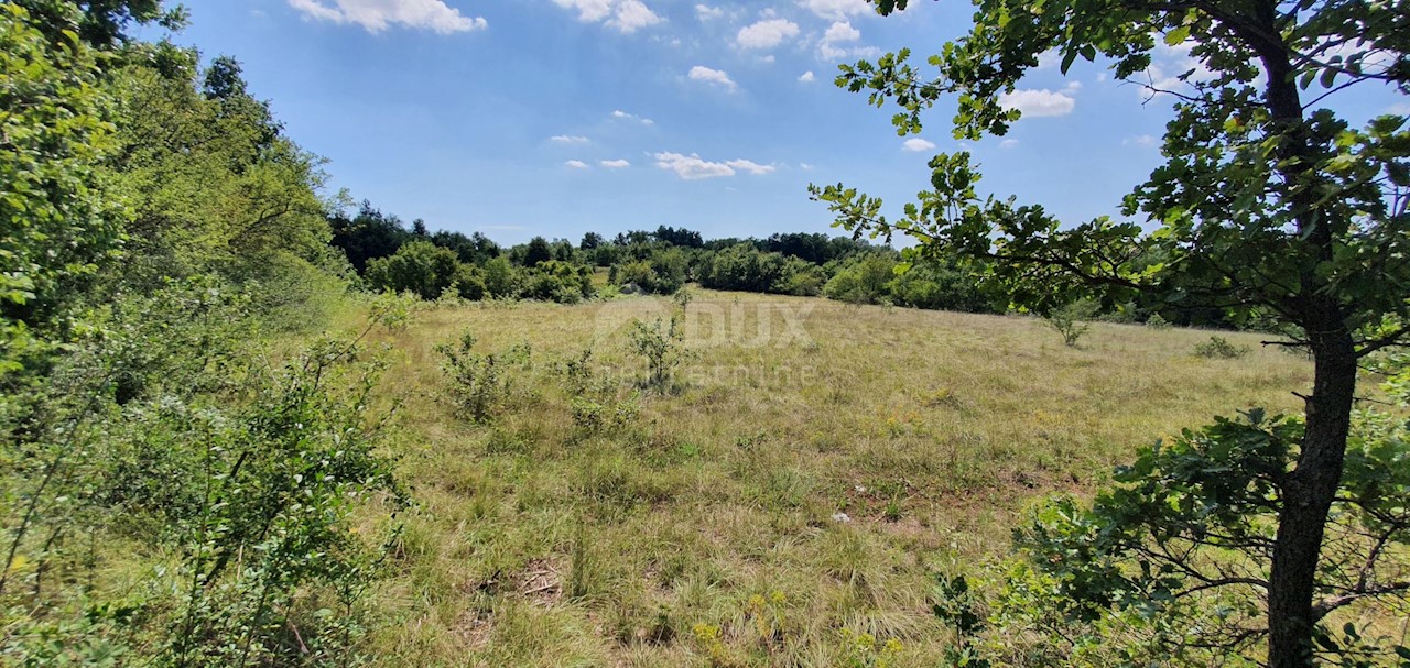 Terreno In vendita - ISTARSKA  SVETA NEDELJA 