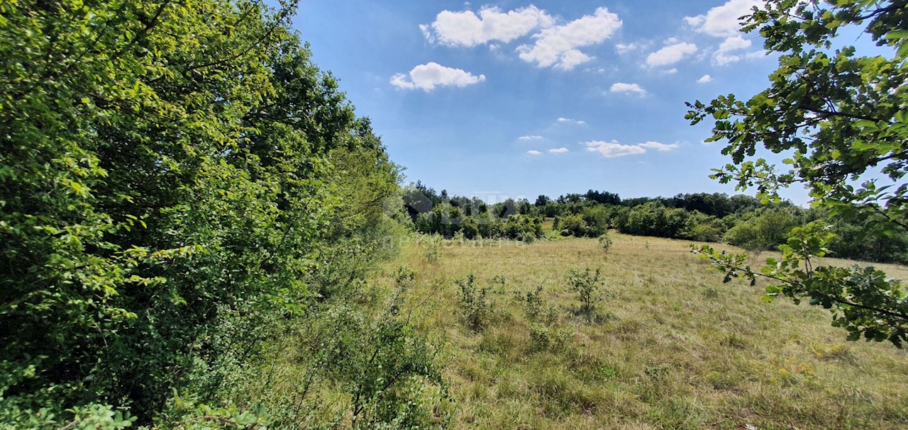 Terreno In vendita - ISTARSKA  SVETA NEDELJA 