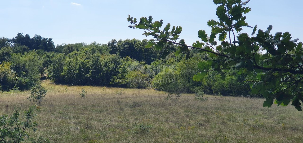 Terreno In vendita - ISTARSKA  SVETA NEDELJA 