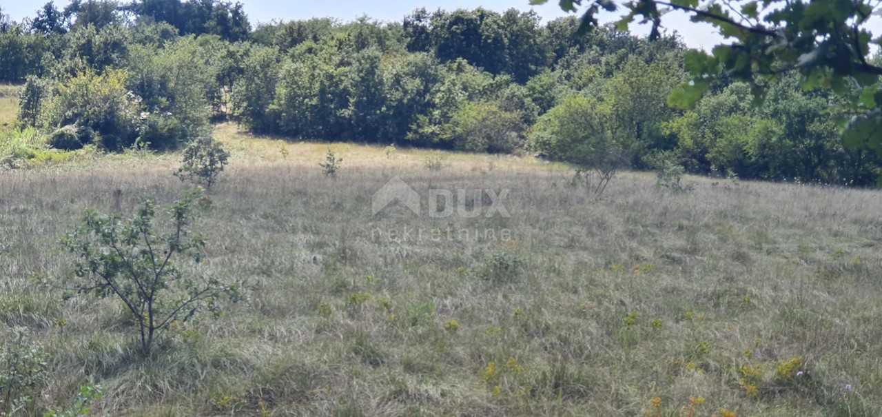 Terreno In vendita - ISTARSKA  SVETA NEDELJA 