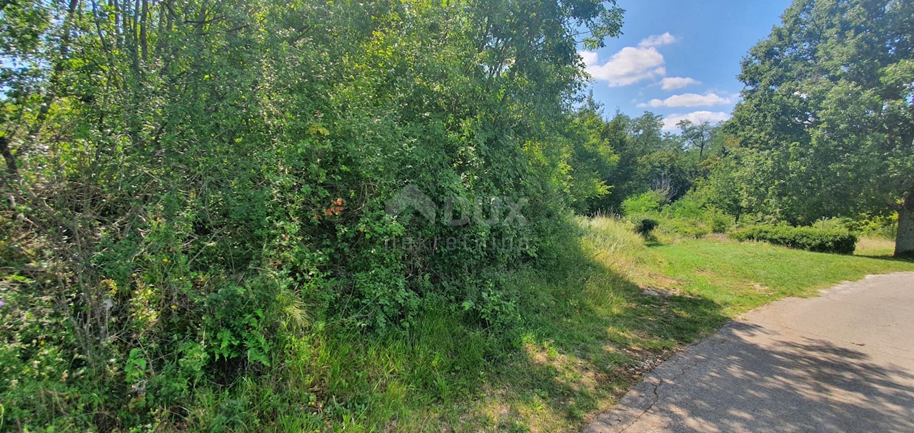 Terreno In vendita - ISTARSKA  SVETA NEDELJA 