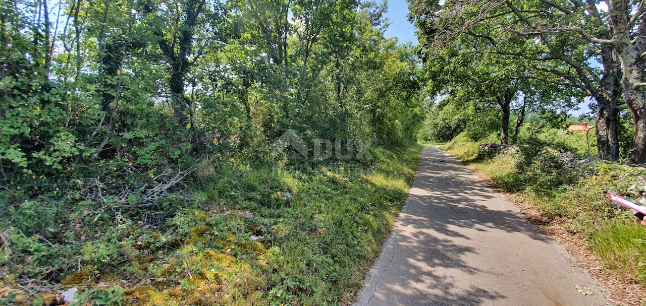 Terreno In vendita - ISTARSKA  SVETA NEDELJA 