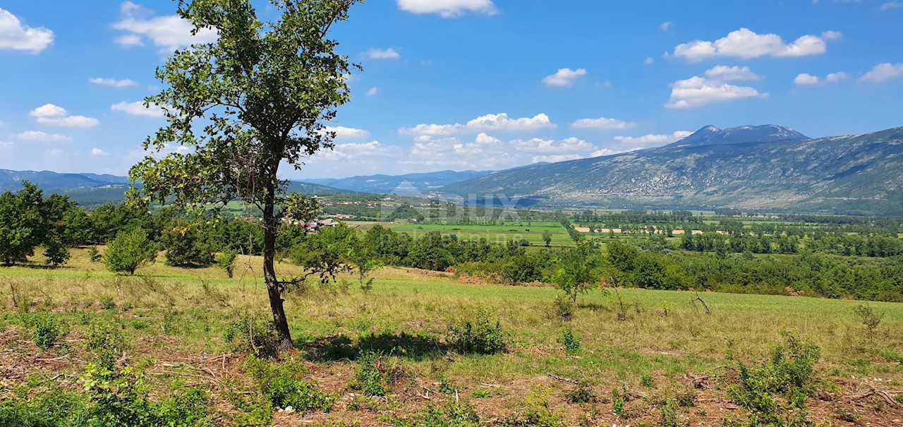 Land For sale - ISTARSKA  KRŠAN 