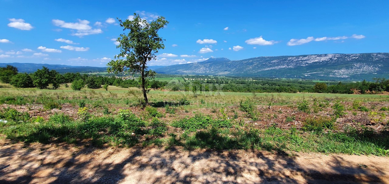 Land For sale - ISTARSKA  KRŠAN 