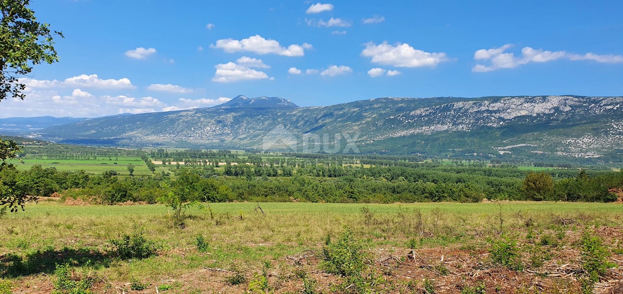 Land For sale - ISTARSKA  KRŠAN 