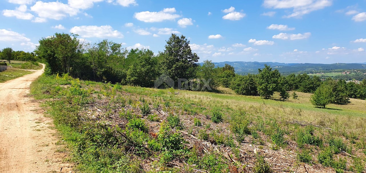 Land For sale - ISTARSKA  KRŠAN 