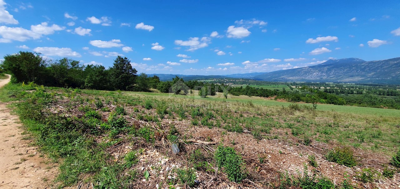 Land For sale - ISTARSKA  KRŠAN 