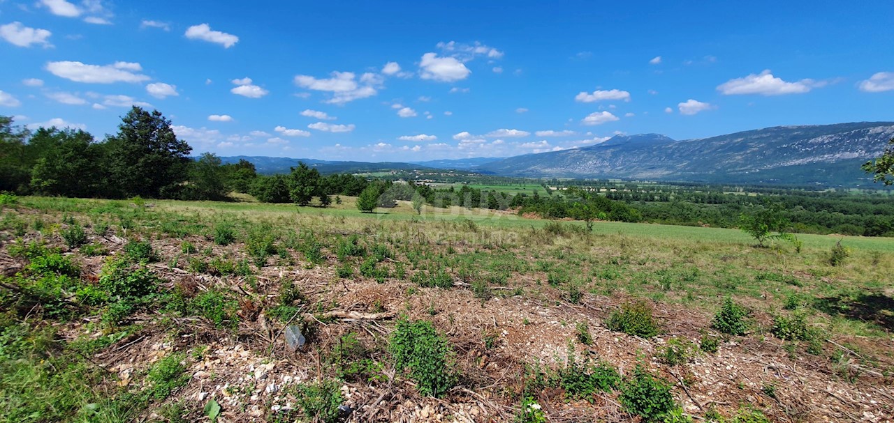 Land For sale - ISTARSKA  KRŠAN 