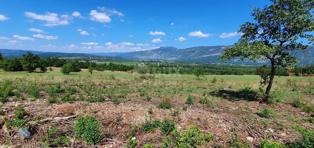 Land For sale - ISTARSKA  KRŠAN 