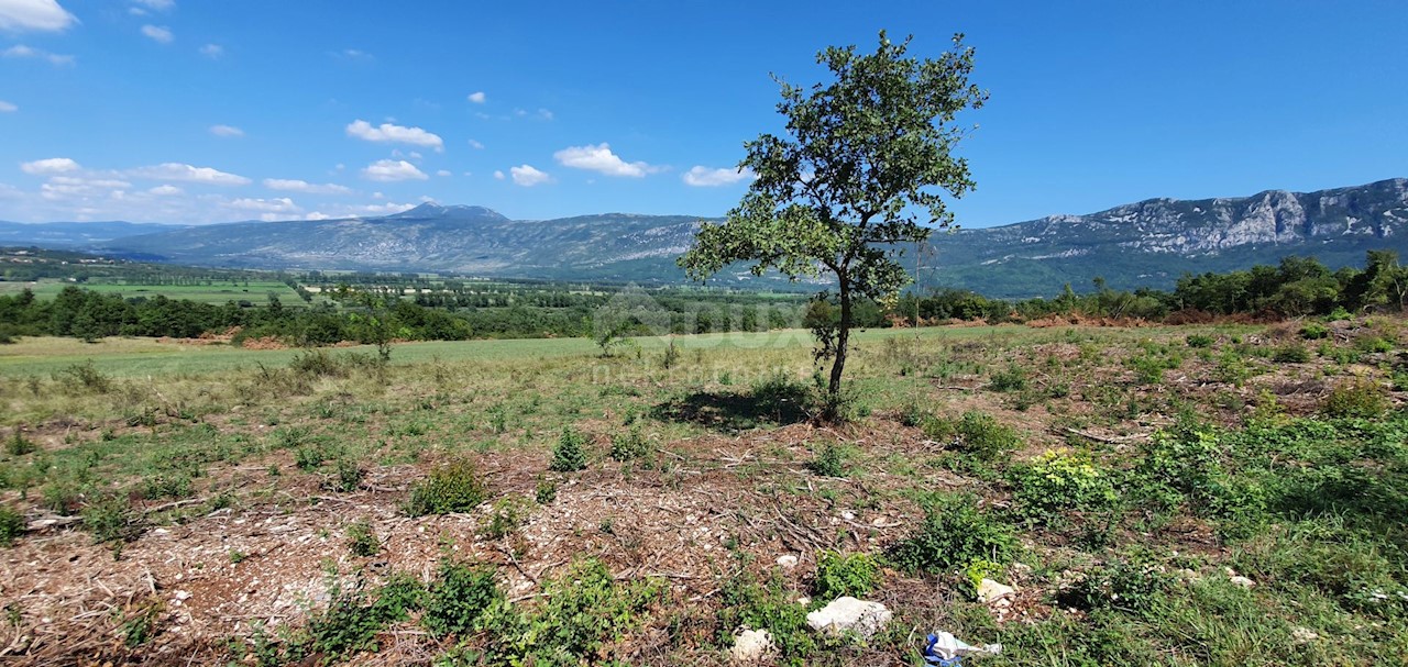 Land For sale - ISTARSKA  KRŠAN 