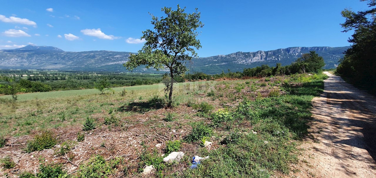 Land For sale - ISTARSKA  KRŠAN 