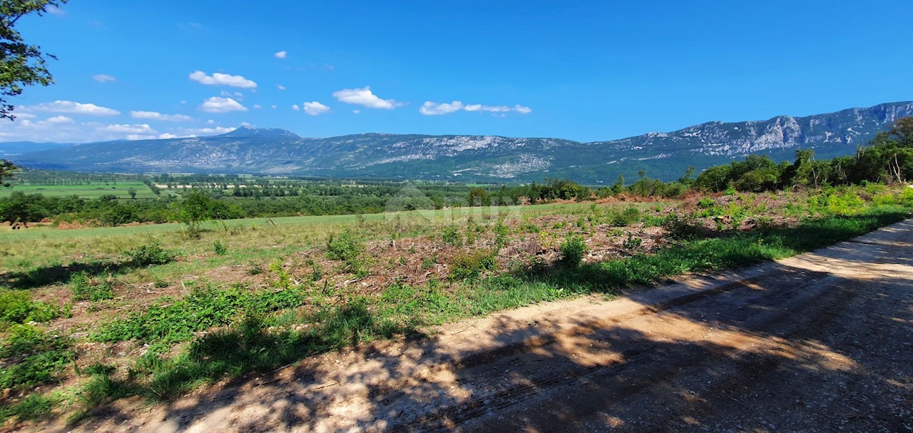 Land For sale - ISTARSKA  KRŠAN 