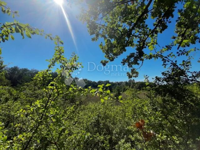 Pozemok na predaj 2494 m² – Barban