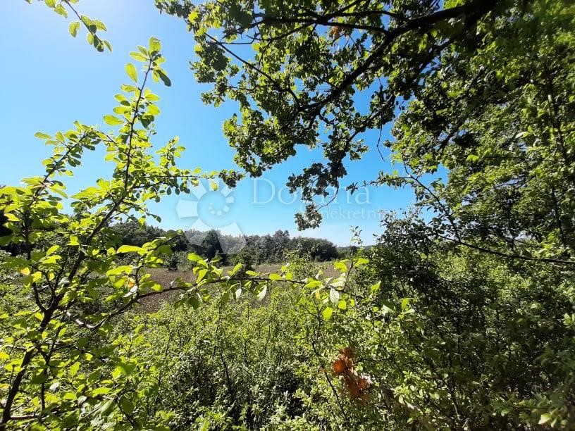 Pozemok Na predaj - ISTARSKA  BARBAN 