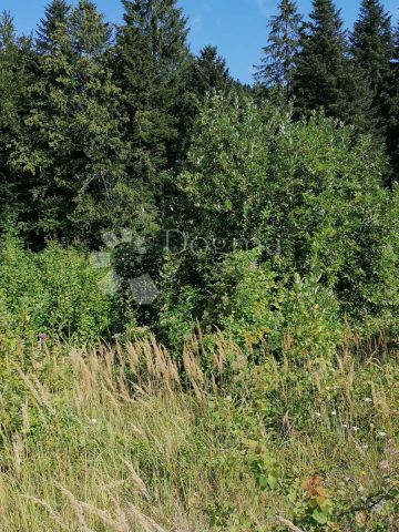 Land For sale - Primorsko-goranska Delnice - foto 5/6