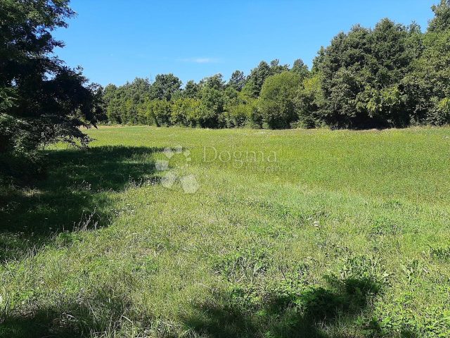 Terrain à vendre 6111 m² – Barban