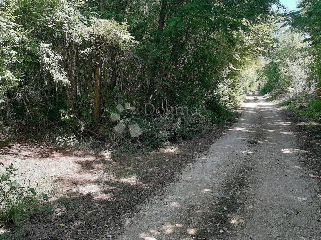 Terreno In vendita - Istarska Barban - foto 4/4