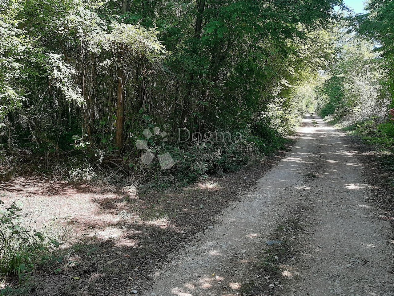 Terreno In vendita - ISTARSKA  Barban