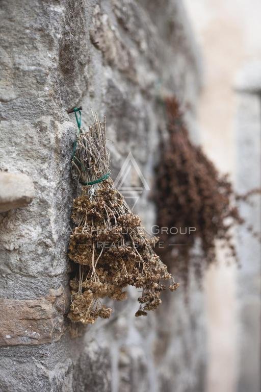 House For rent - ISTARSKA GRAčIšćE