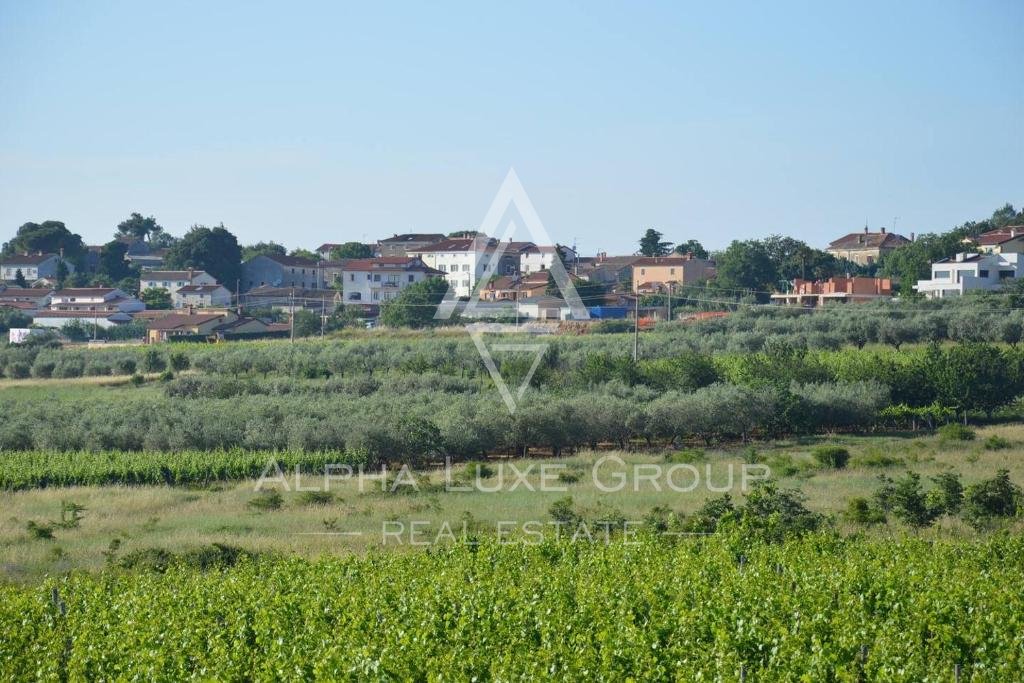 Casa Da affittare - ISTARSKA BARBAN