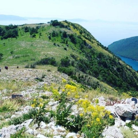 Casa In vendita - Istarska Labin - foto 4/41