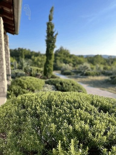 Casa Da affittare - ISTARSKA LABIN