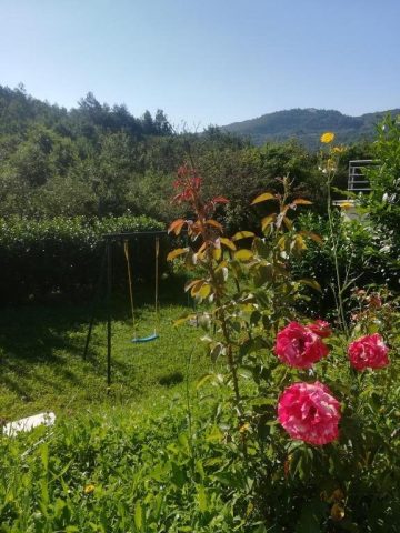 Dom Na sprzedaż - Istarska Buzet - foto 5/43