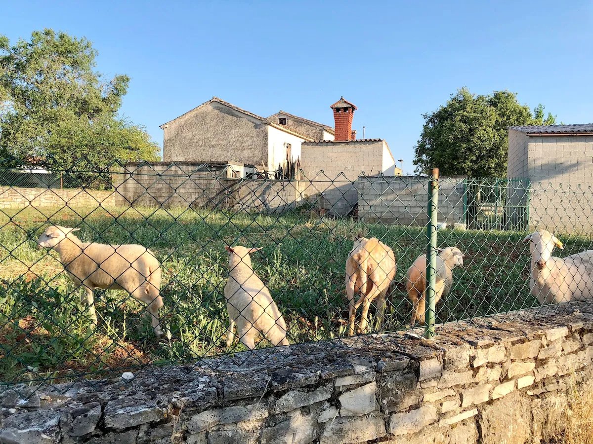 Maison À louer - ISTARSKA BARBAN