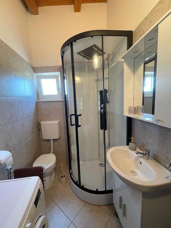House For rent - ISTARSKA FAžANA