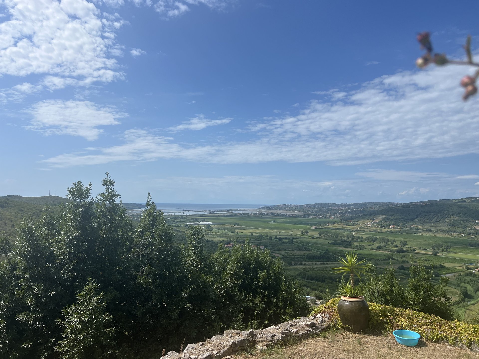Kuća Za najam - ISTARSKA BUJE
