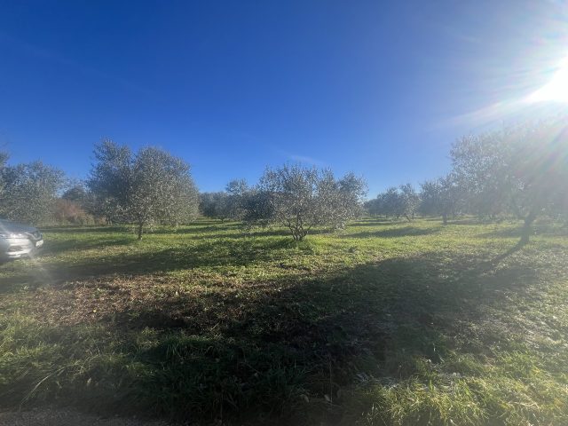Parcela Naprodaj - Istarska Cerovlje - foto 4/4