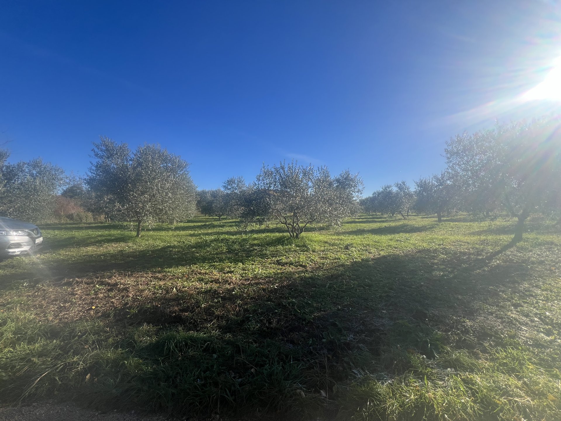 Parcela Naprodaj - ISTARSKA Cerovlje