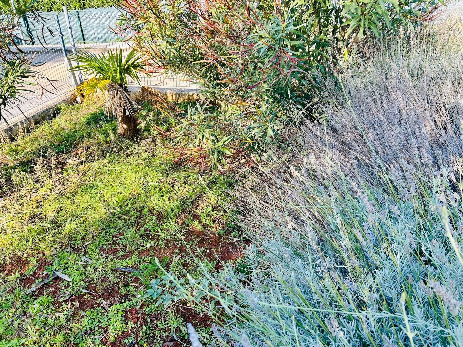 Apartmán K pronájmu - ISTARSKA NOVIGRAD
