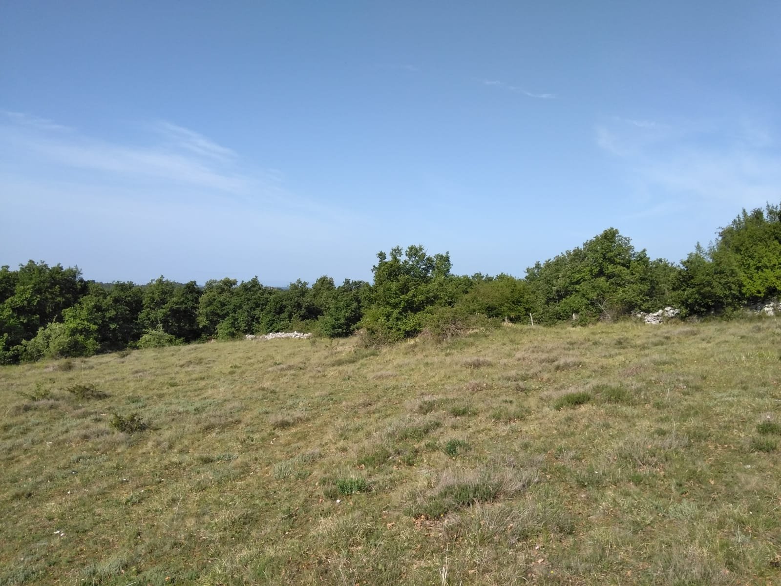 Zemljište Za najam - ISTARSKA CEROVLJE